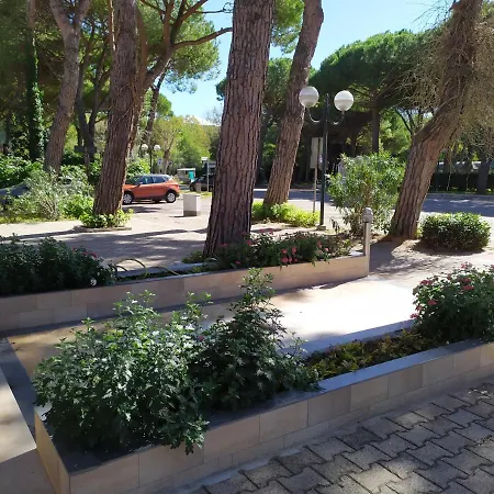 Madonna Del Pino Cervia